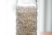 Chia Fresca: A Natural Energy Drink! chiafresca-2397