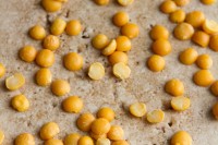 Sunshine Spread chickpeafreehummussplitpea-2796