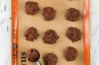 No Bake Chocolate Macaroons macaroonsnobakeveganchocolate-2652