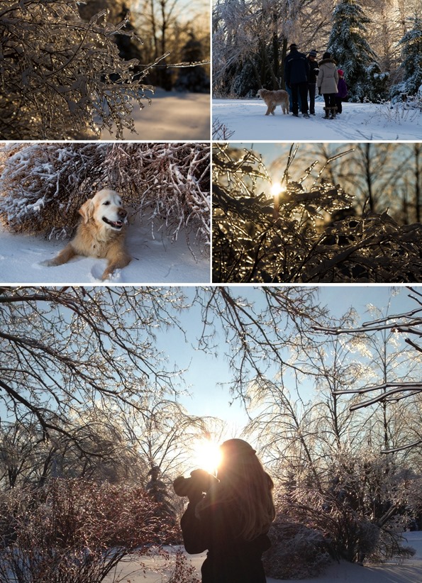 winterphotography
