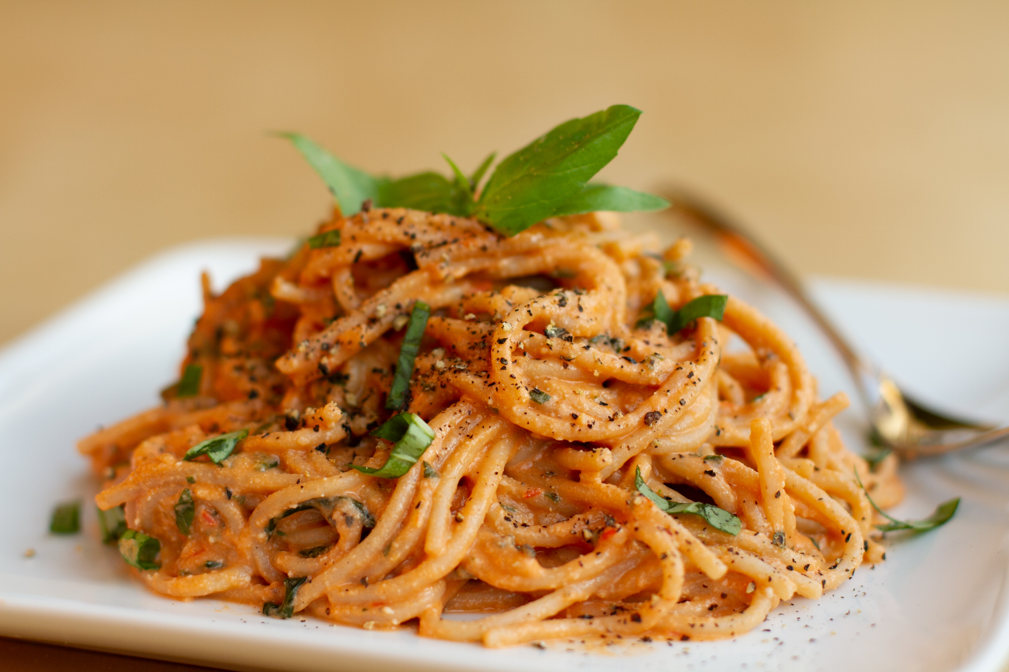 Easy Tomato Basil Cream Pasta-image