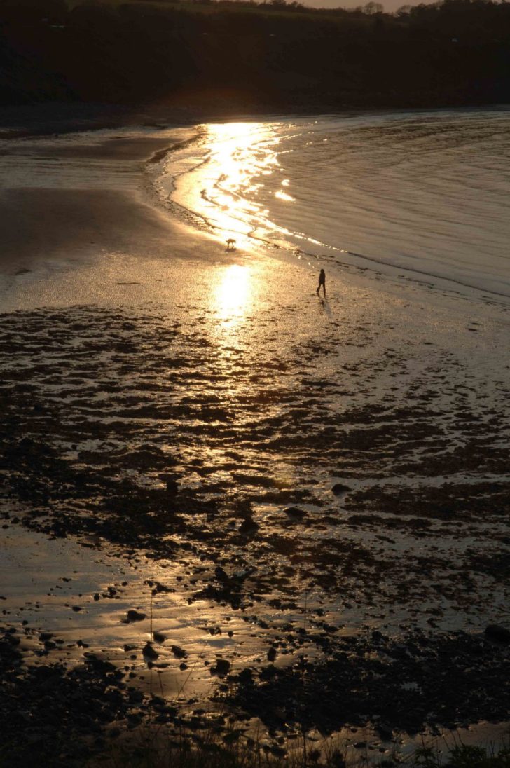 a_woman_walking_her_dog_on_the_east_coast_of_ireland_skerries_co__dublin_