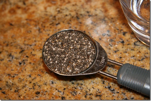 Gourmet Chia Seed Pudding (from scratch!) – Oh She Glows