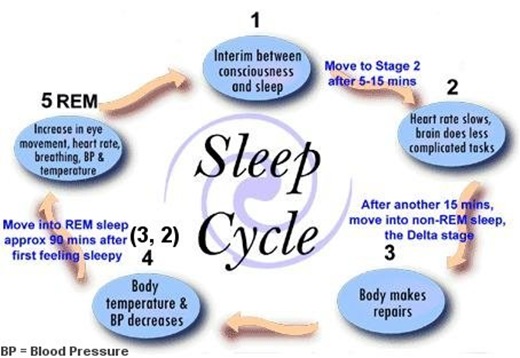 the-5-stages-of-sleep-sleep-cycle