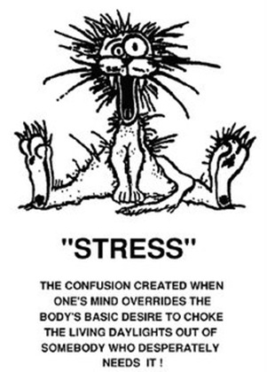 stress_cartoon[1] copy