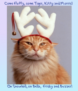 lens7059852_1253244920funny-christmas-cards-cat