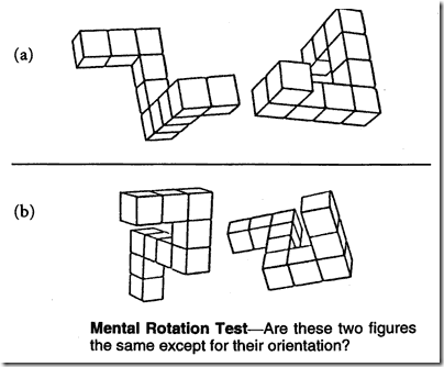 mental-rotation-test