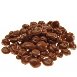 33-raisins-au-chocolat-p