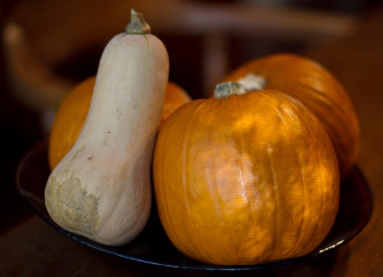 Black Bean and Butternut Squash Burritos – Oh She Glows