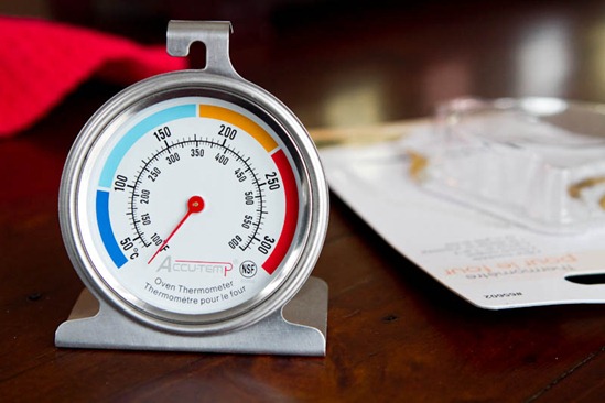 10 Reasons An Oven Thermometer Is As Important As An Oven For Your