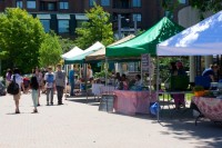 Oakville Organic Farmer’s Market: Week 3 IMG_1228