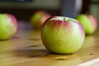 Slow Cooker Apple Butter 911 IMG_1877
