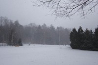 Old Man Winter Vs. Heart of Gold IMG_2296