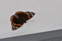 Karma IMG_4925