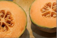 Can’t Elope VOO IMG_5483