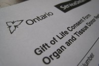 Organ Donation: Why I Decided To Sign My Card IMG_6367