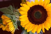 News To Share IMG_9446