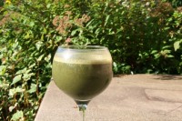 Chocolate Blueberry Banana Green Monster IMG_1194