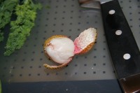 Brain Food IMG_1299