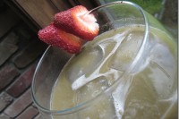 Swamp Water IMG_3240