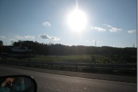 Summer Sunshine! IMG_3920