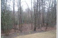 April Showers… IMG_8170