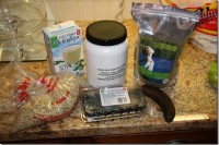 FOOD, Glo-rious, FOOD! Acura 10-Miler Race Recap 2 IMG_9984