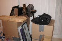 All Boxed Up img_17981