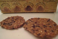 Homemade Larabar Science Experiment img_2054