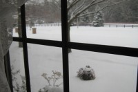FAQ’s Installment 10 img_3677