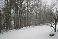 Leftover Time img_4785