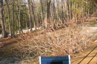I’m Blogging In The Sun! img_6633