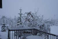 From Heat Wave To Snow Storm, This Is Canada x2_1734e69