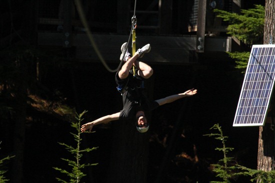 Ziptrek_15