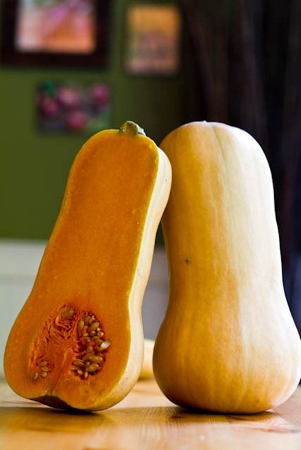 butternut