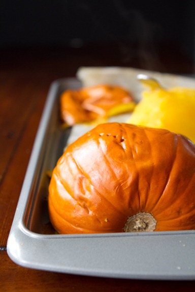 how to make pumpkin puree-5052