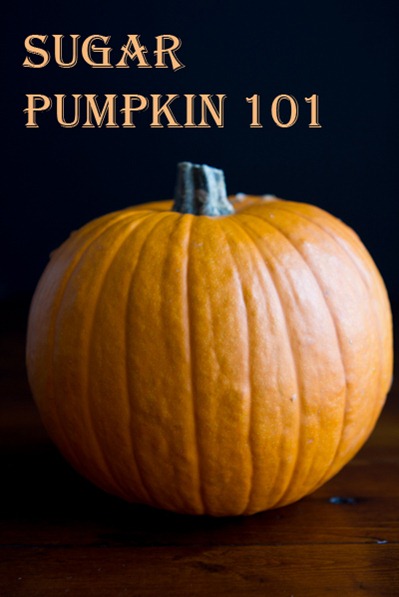 how to roast a sugar pumpkin & make fresh pumpkin purée – a step-by-step photo tutorial