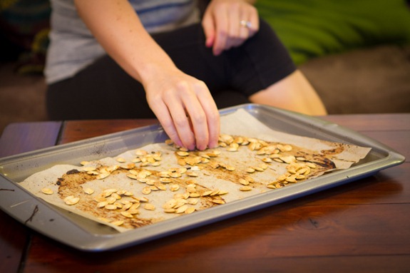 spaghetti squash seeds-6717