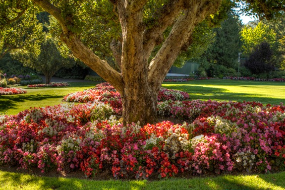 Butchart Gardens Victoria-