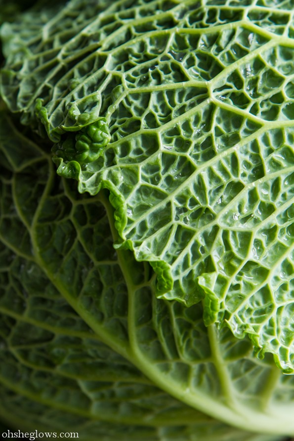 cabbage-1738