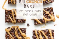 Mini Crunch Bars with Peanut Butter Shell Drizzle vegancrunchbars-1287