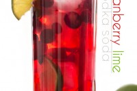 My Go-To Holiday Cocktail – Quick, easy, festive, and low in sugar!