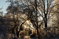 Winter Wonderland