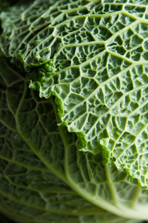 curried cabbage soup-1738