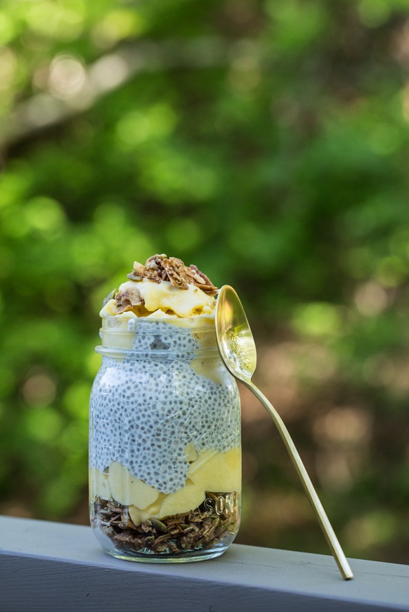 Gourmet Chia Seed Pudding (from scratch!) – Oh She Glows