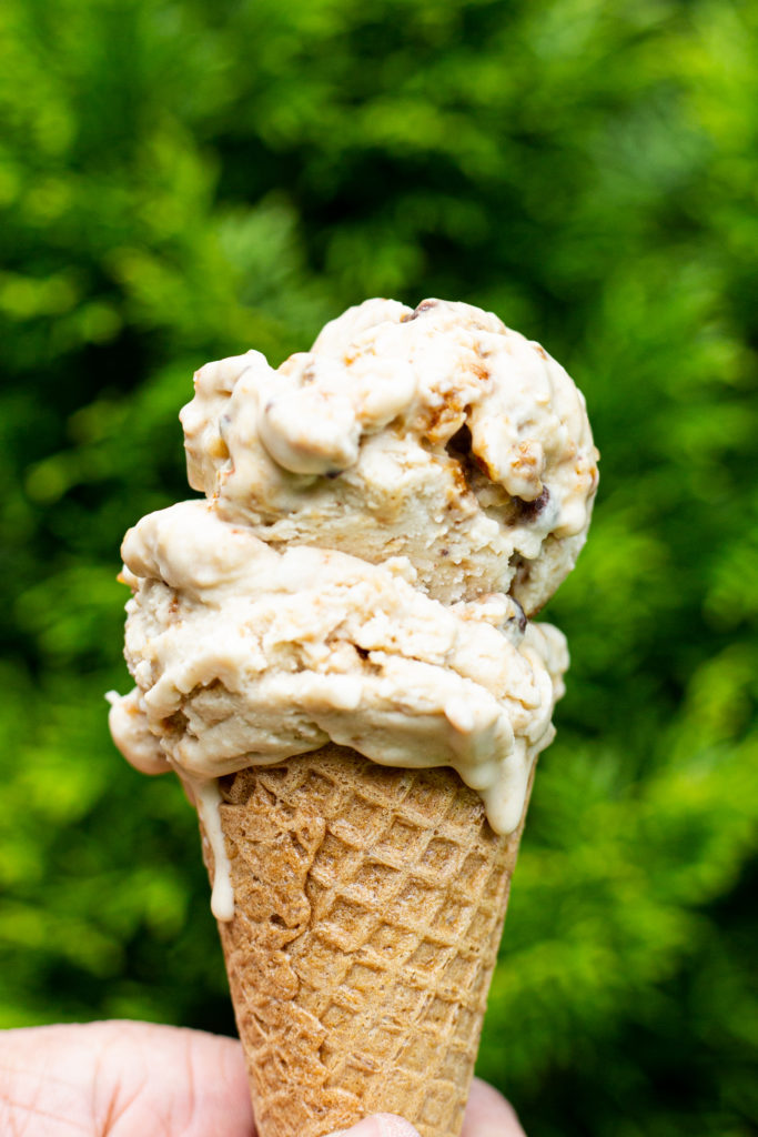 Obsession-Worthy Peanut Butter Cookie Ice Cream | Cook & Hook